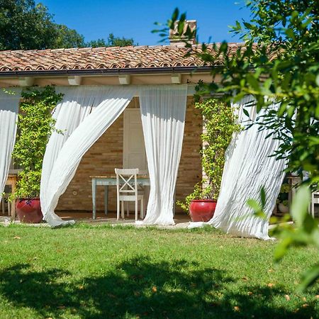 Casavostra - Ambience Suites Ostra Vetere Bagian luar foto