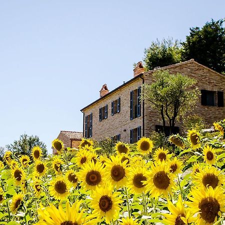 Casavostra - Ambience Suites Ostra Vetere Bagian luar foto