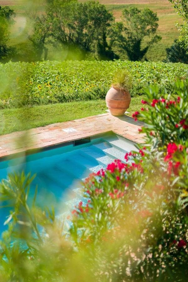 Casavostra - Ambience Suites Ostra Vetere Bagian luar foto