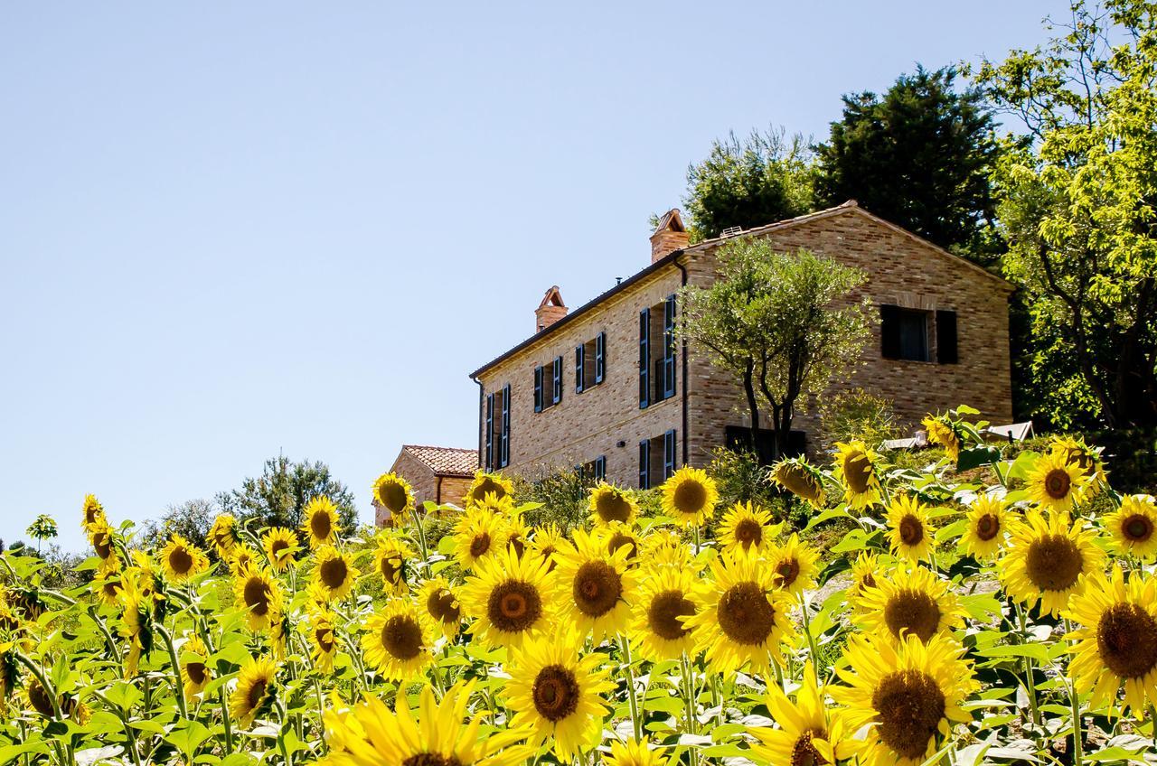 Casavostra - Ambience Suites Ostra Vetere Bagian luar foto