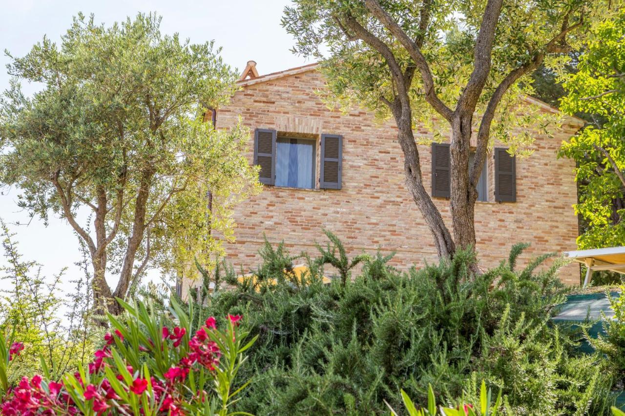 Casavostra - Ambience Suites Ostra Vetere Bagian luar foto